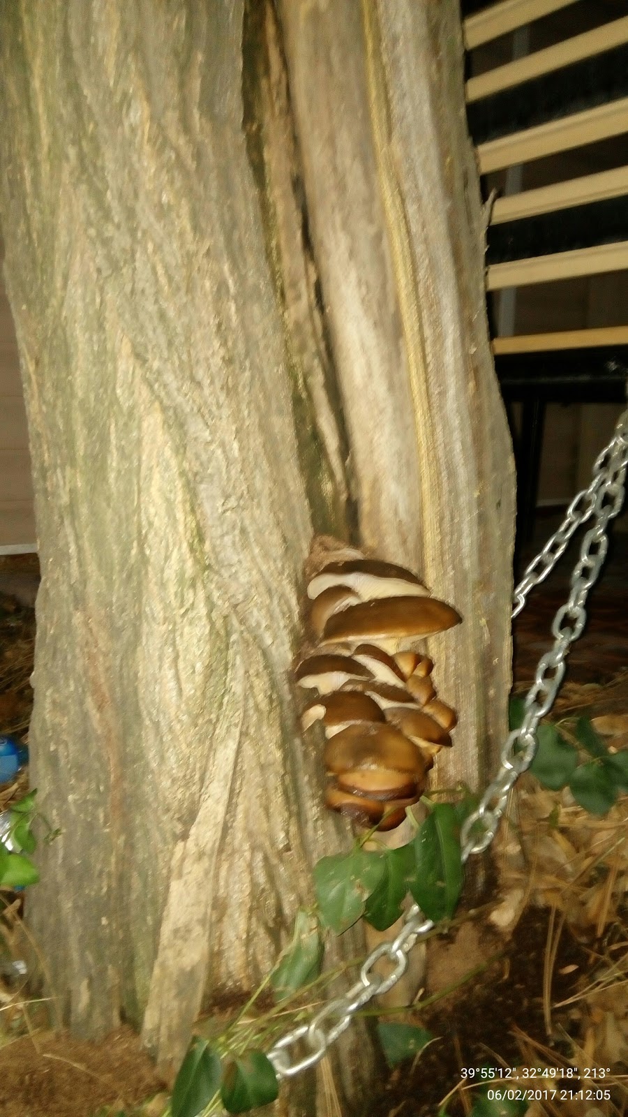 Cumhuriyet Fen Lisesi Fotoğrafları 3