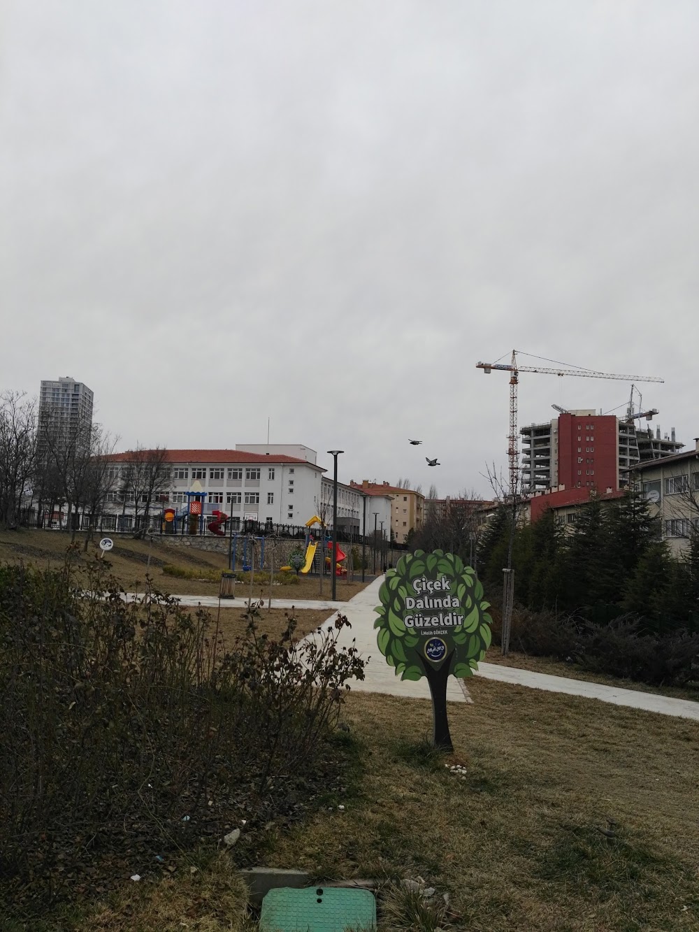 Muazzez Karaçay İlkokulu Fotoğrafları 5