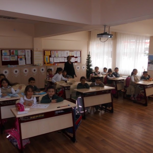 Nurçin Sayan İlkokulu Fotoğrafları 1