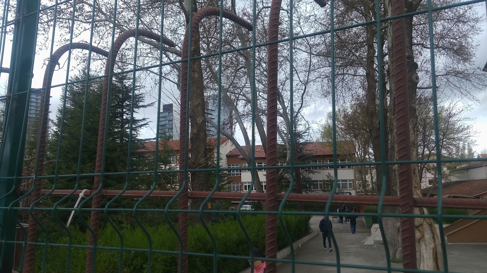 Ömer Seyfettin Anadolu Lisesi Fotoğrafları 5