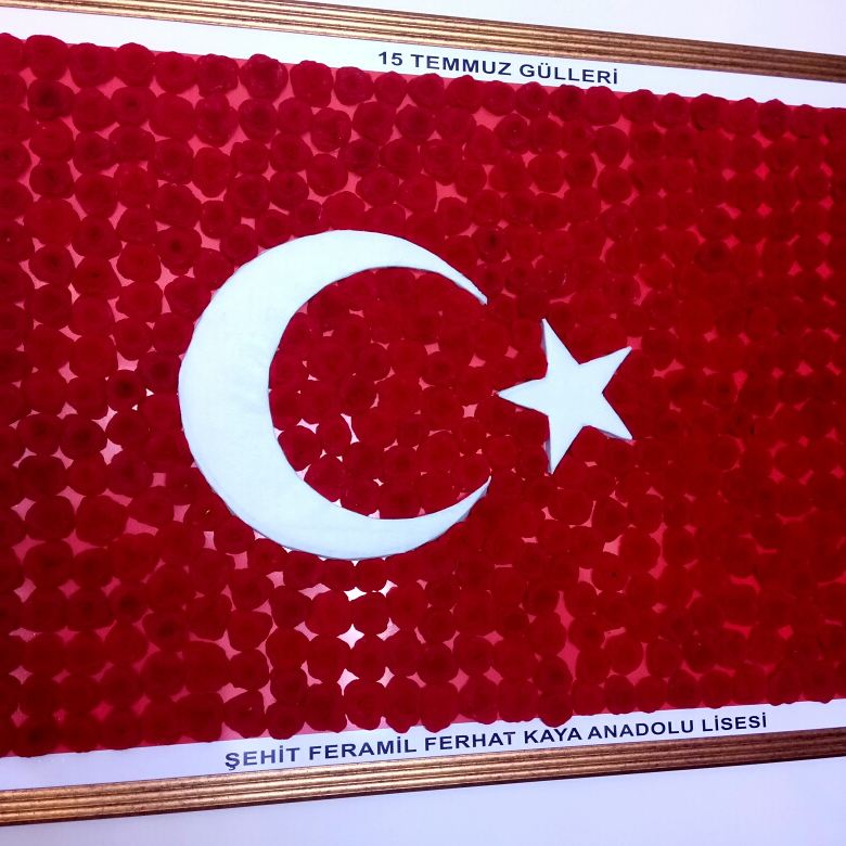 Şehit Feramil Ferhat Kaya Anadolu Lisesi Fotoğrafları 4