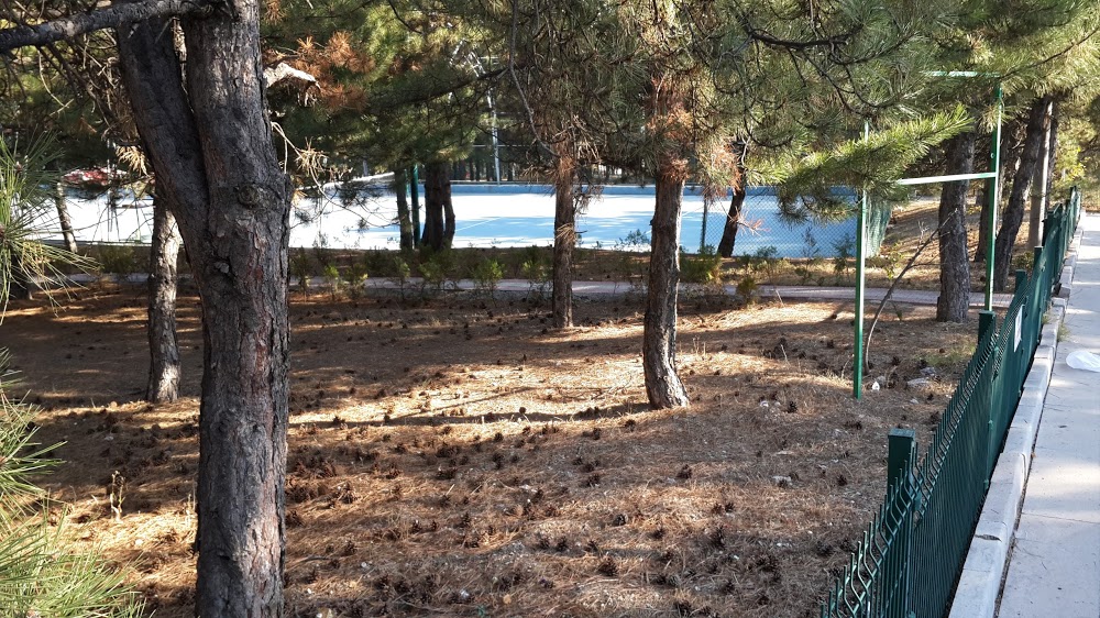 T Emlak Bankası Ortaokulu Fotoğrafları 4