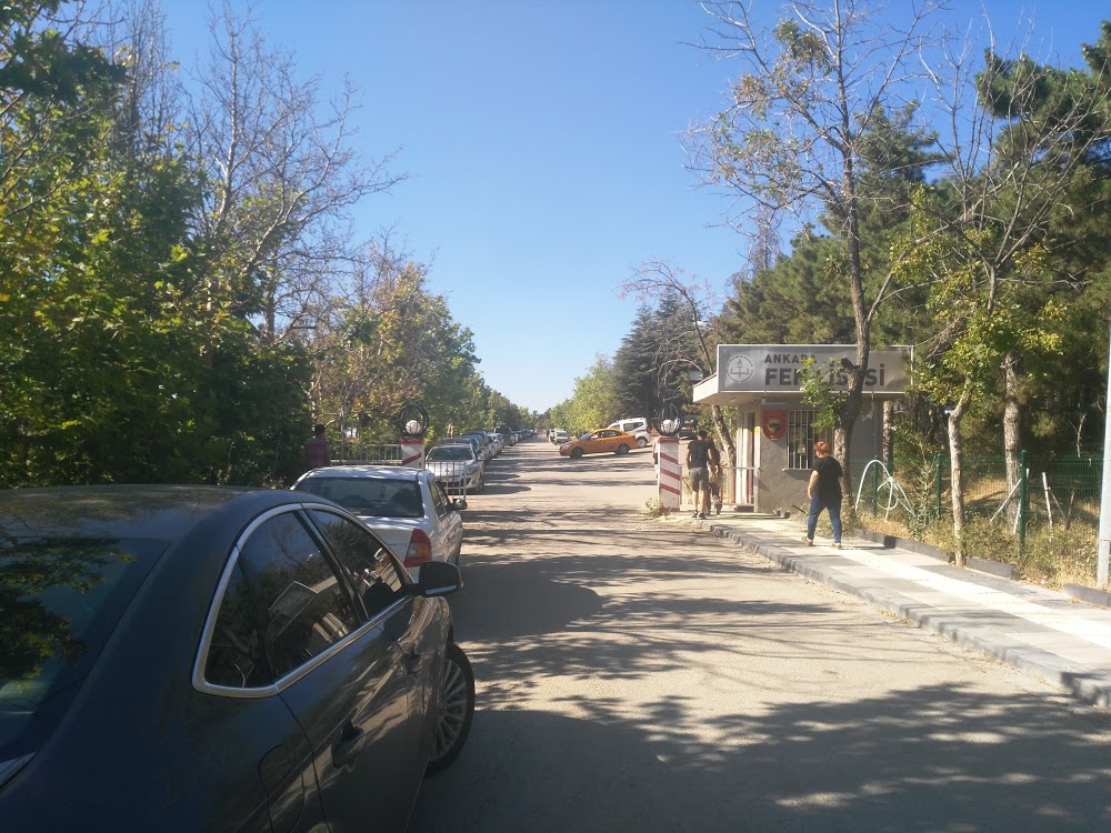 Özel Büyük Fen Lisesi Fotoğrafları 8