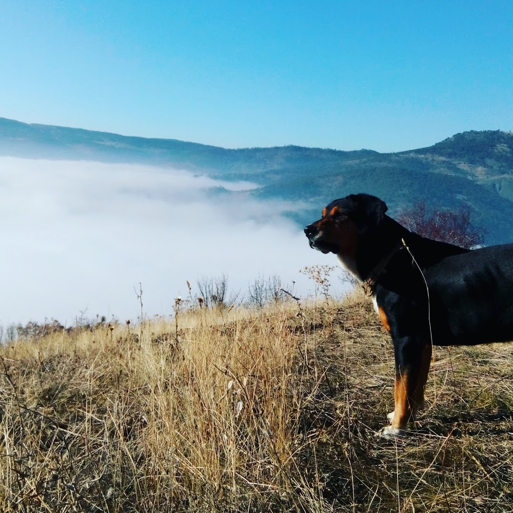Çubuk Çubuk Kurucay İlkokulu Fotoğrafları 1