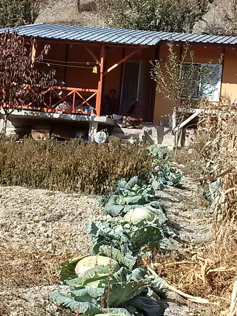 Çubuk Çubuk Kurucay İlkokulu Fotoğrafları 2