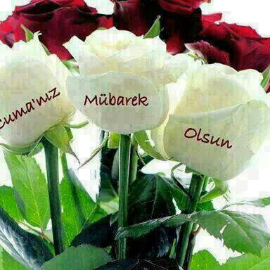 Beypazarı Atatürk İlkokulu Fotoğrafları 8