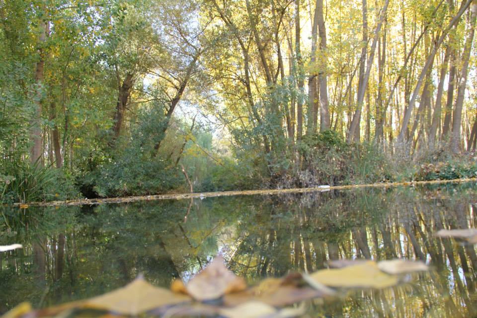 Emirdağ Emirdağ Bağlıca Ortaokulu Fotoğrafları 7
