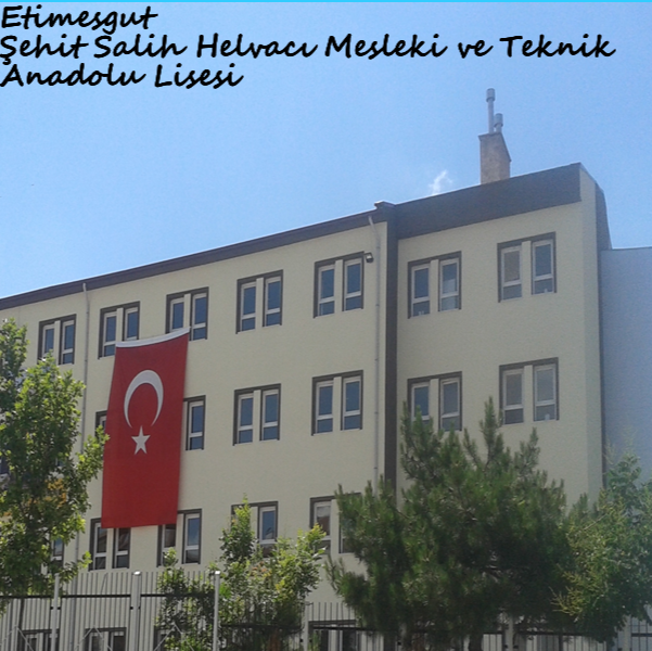 Etimesgut Şehit Salih Helvacı Mesleki Ve Teknik Anadolu Lisesi Fotoğrafları 4