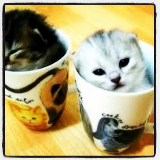 Layika Akbilek İlkokulu Fotoğrafları 1