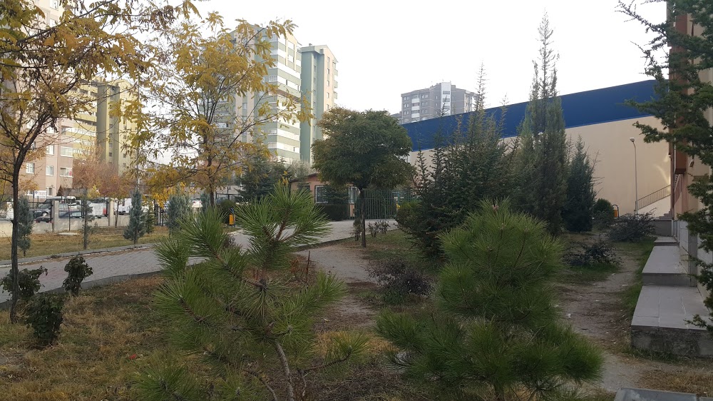 Türkkonut Emel Önal İlkokulu Fotoğrafları 3