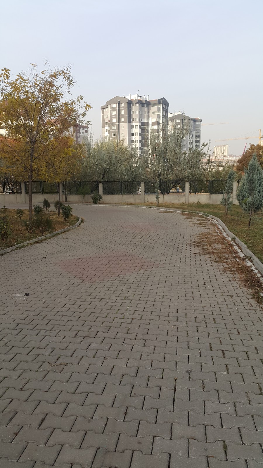 Türkkonut Emel Önal İlkokulu Fotoğrafları 2