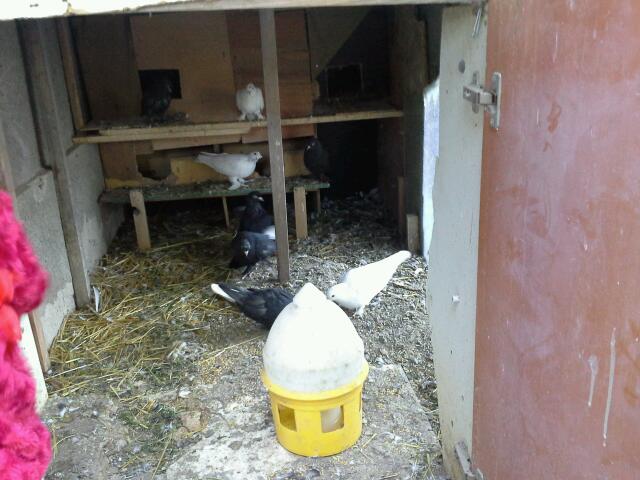 Gölbaşı Şehit Ömer Halisdemir Ortaokulu Fotoğrafları 4