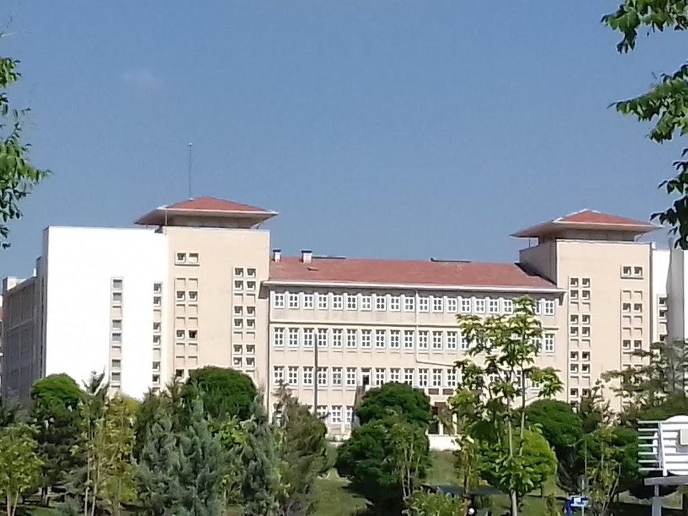 Sevgi Çiçeği İlkokulu Fotoğrafları 2