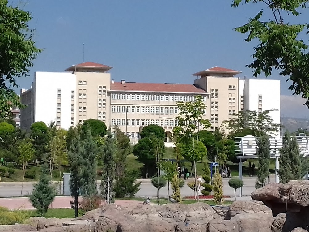 Sevgi Çiçeği İlkokulu Fotoğrafları 1