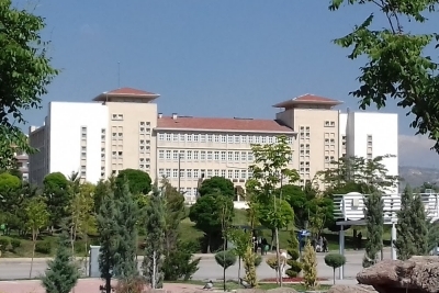 Sevgi Çiçeği İlkokulu fotoğraf 1