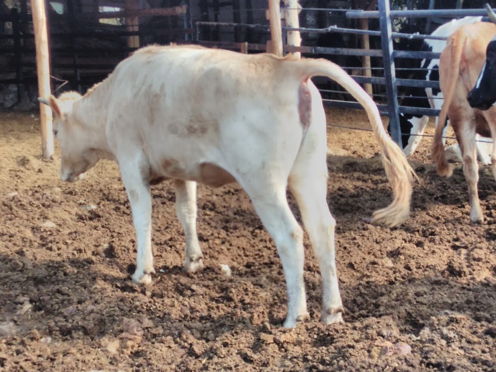 Yurtbeyi İlkokulu Fotoğrafları 1