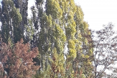 Kalecik Degırmenkaya İlkokulu fotoğraf 11