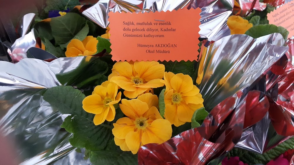 Kalecik Karahoyuk İlkokulu Fotoğrafları 6