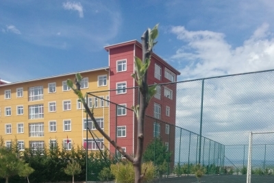 Şehit Ali Anar Anadolu Lisesi fotoğraf 3
