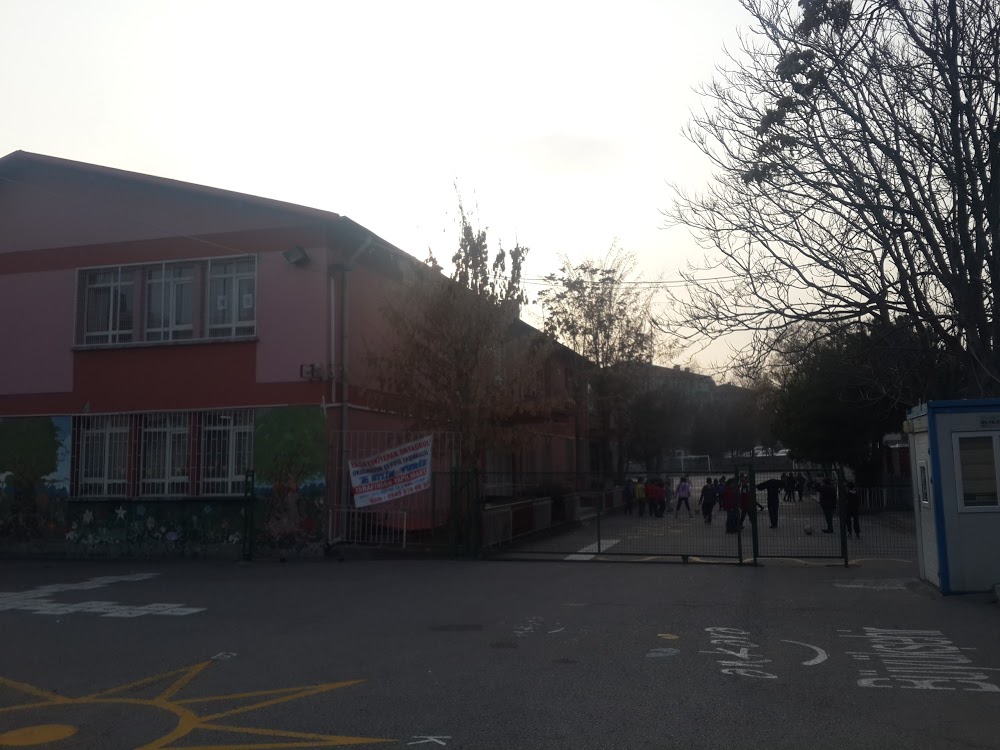 Yalçın Eskiyapan İlkokulu Fotoğrafları 4