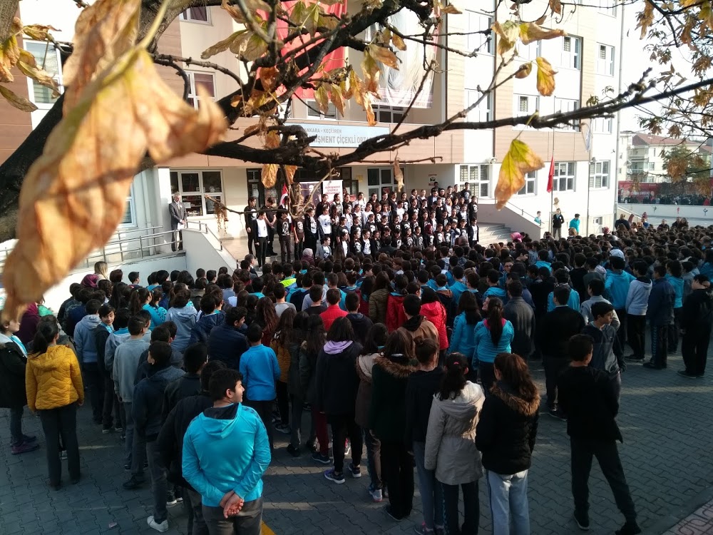 Danışment Çiçekli İlkokulu Fotoğrafları 4