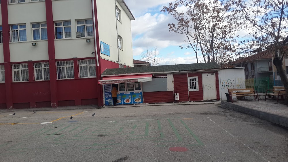 Danışment Çiçekli İlkokulu Fotoğrafları 3