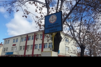 Danışment Çiçekli İlkokulu fotoğraf 2