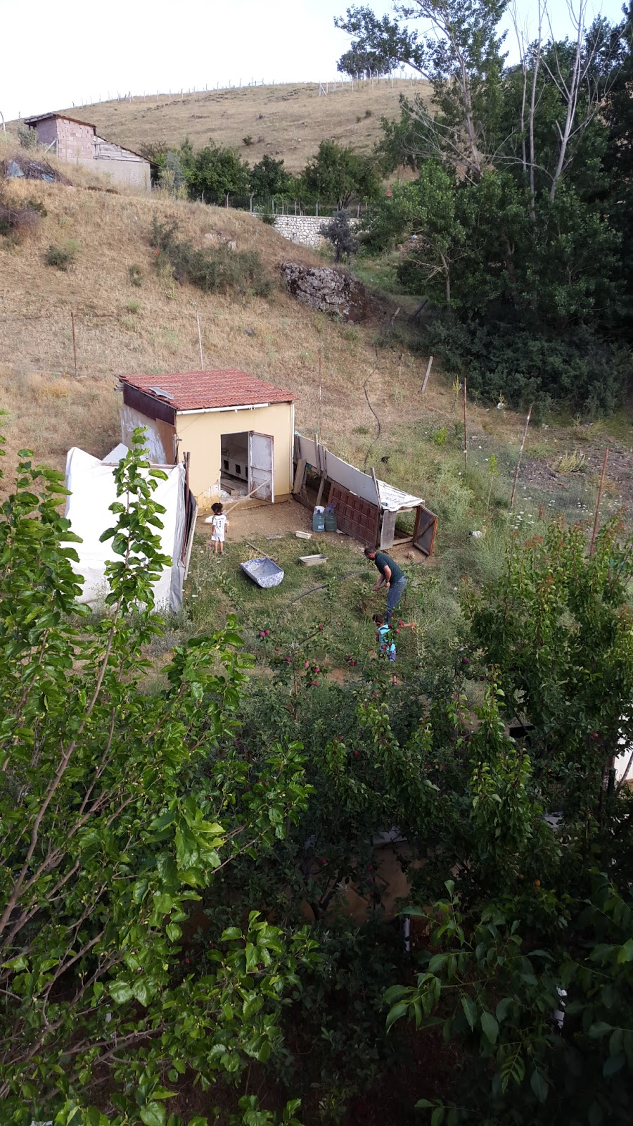 Hasanoğlan Öğretmenler Ortaokulu Fotoğrafları 1