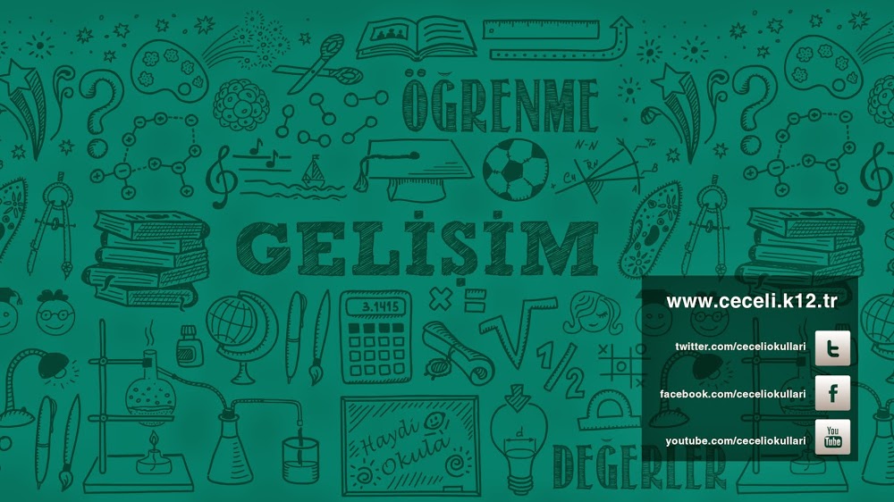 Özel Ceceli Ortaokulu Fotoğrafları 3