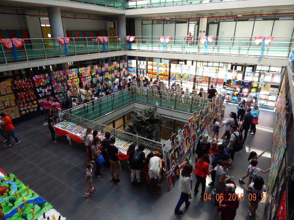 Özel Seviye Anadolu Lisesi Fotoğrafları 4