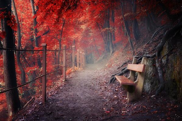 Ulviye Fenmen İlkokulu Fotoğrafları 1
