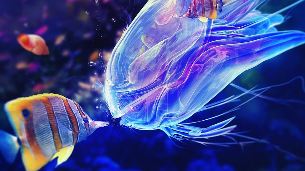 Kızılcahamam Anadolu Lisesi Fotoğrafları 1