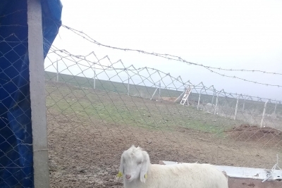 Şehit Miraç Yıldırım Ortaokulu fotoğraf 3