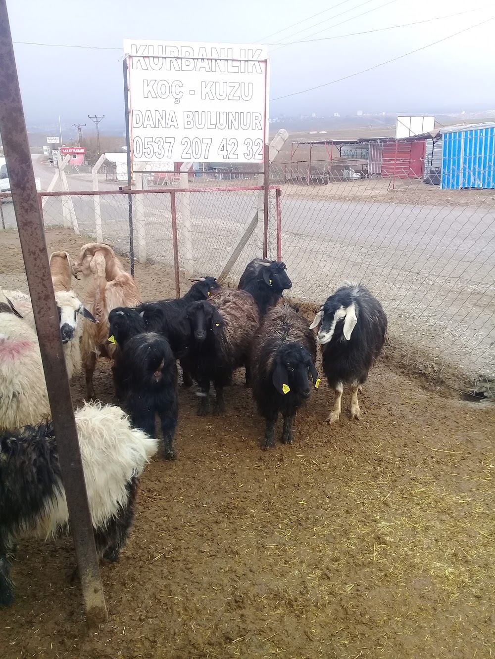 Şehit Miraç Yıldırım Ortaokulu Fotoğrafları 2