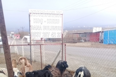 Şehit Miraç Yıldırım Ortaokulu fotoğraf 2