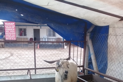 Şehit Miraç Yıldırım Ortaokulu fotoğraf 1