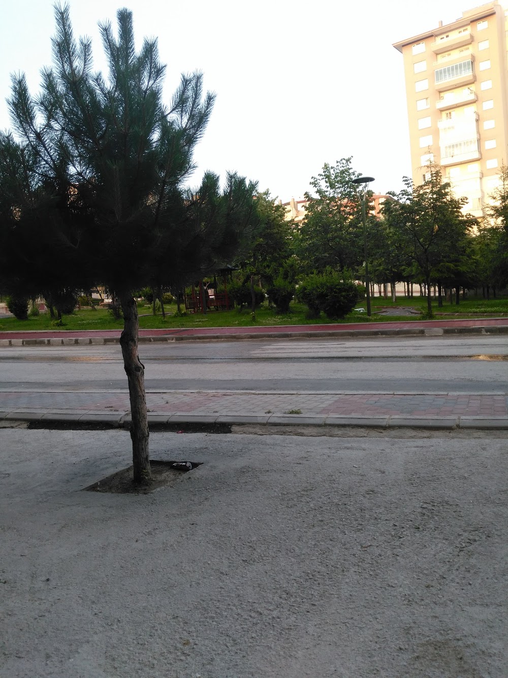 Şehit Miraç Yıldırım İlkokulu Fotoğrafları 8