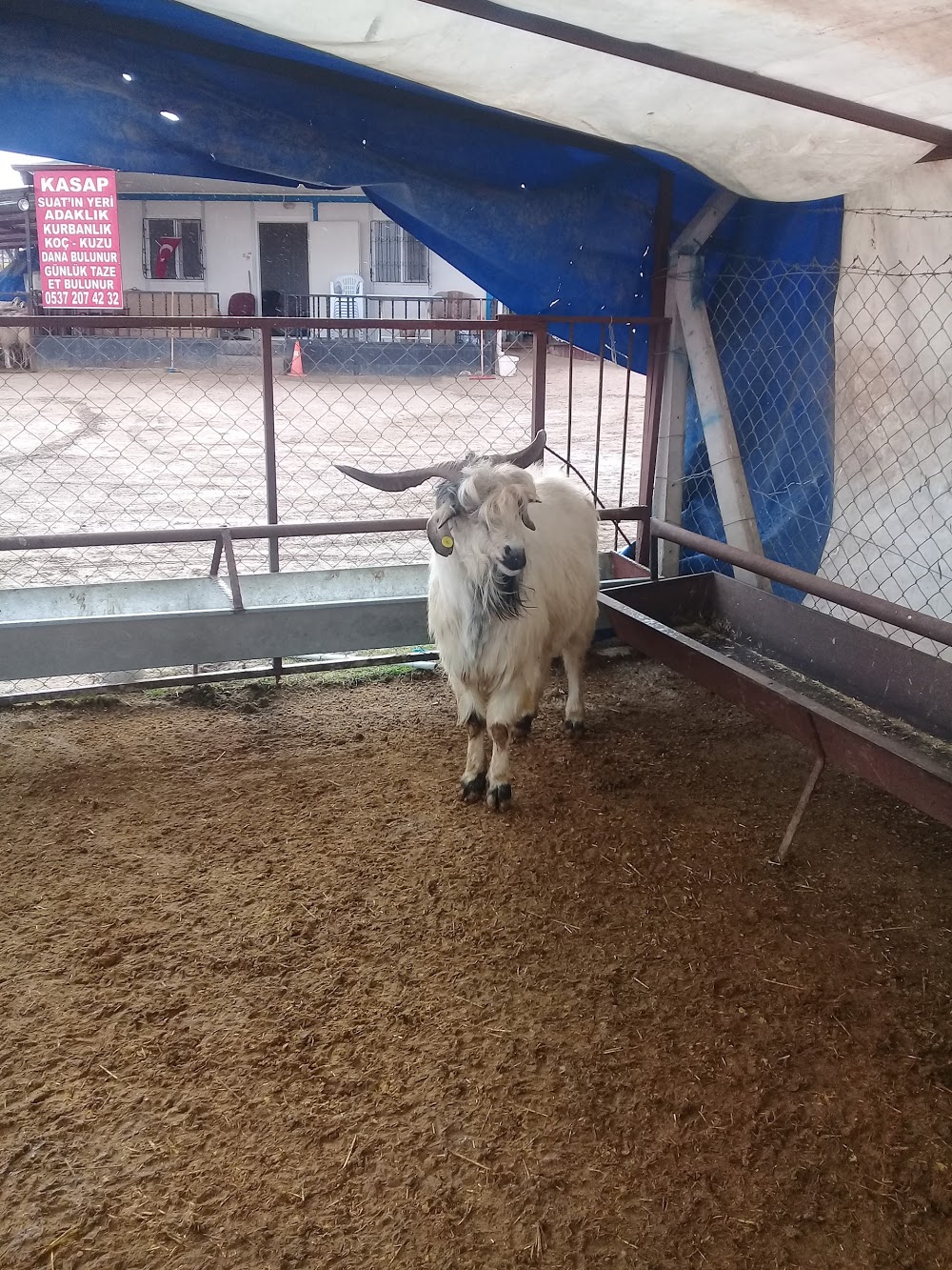 Şehit Miraç Yıldırım İlkokulu Fotoğrafları 1