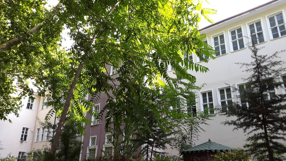 Bumsuz Ortaokulu Fotoğrafları 7