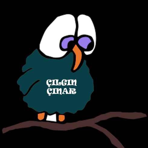 Özel Çılgın Çınar Anaokulu Fotoğrafları 1