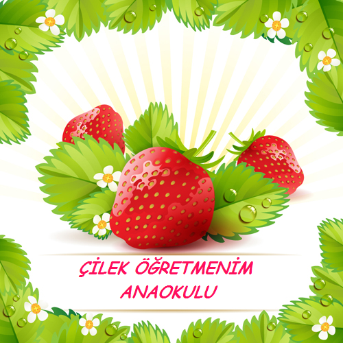 Özel Çilek Öğretmenim Anaokulu fotoğraf 3
