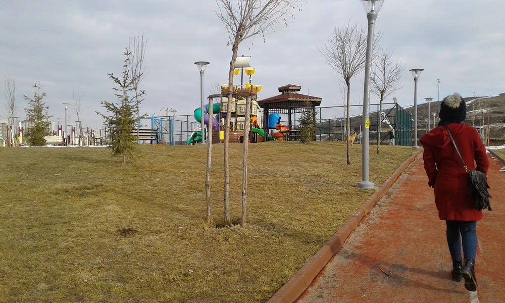 Sezai Karakoç Anadolu Lisesi Fotoğrafları 1