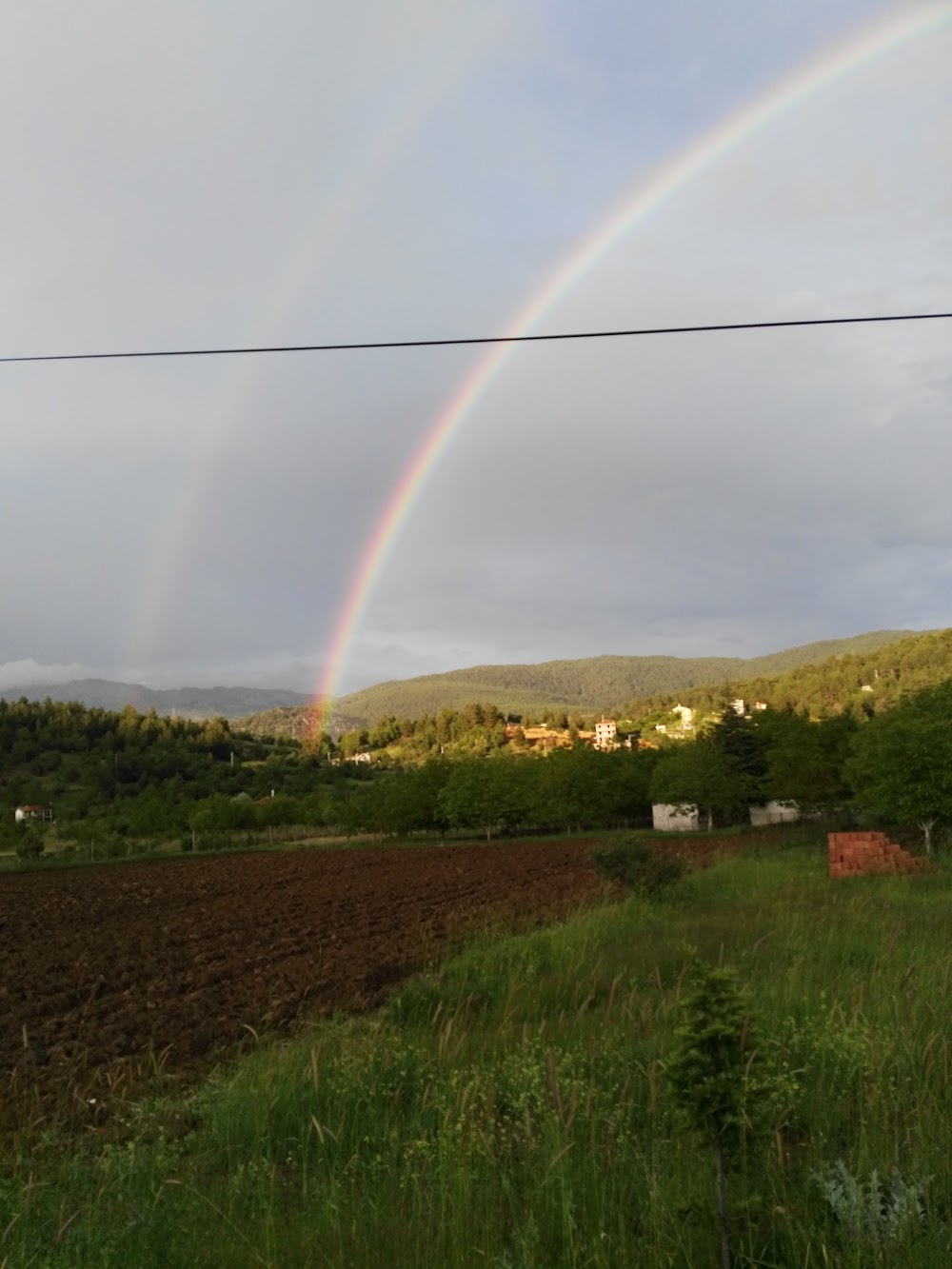 Akseki Cevizli İmam Hatip Ortaokulu Fotoğrafları 1