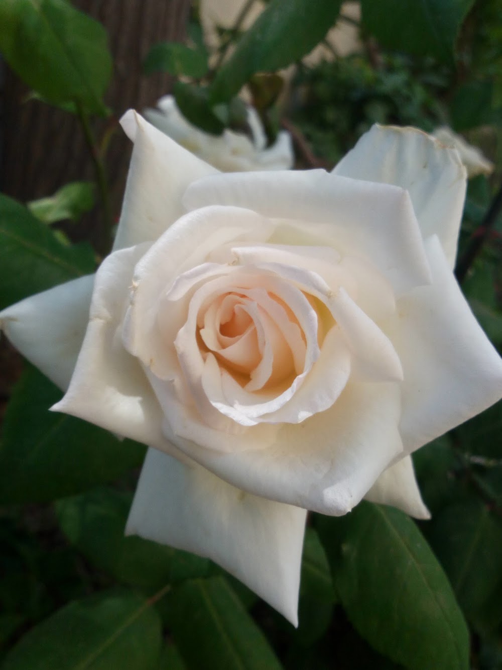 Aksu Fen Lisesi Fotoğrafları 3