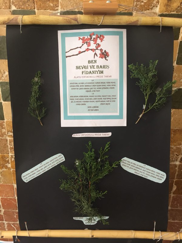 Alaylı Ortaokulu Fotoğrafları 4