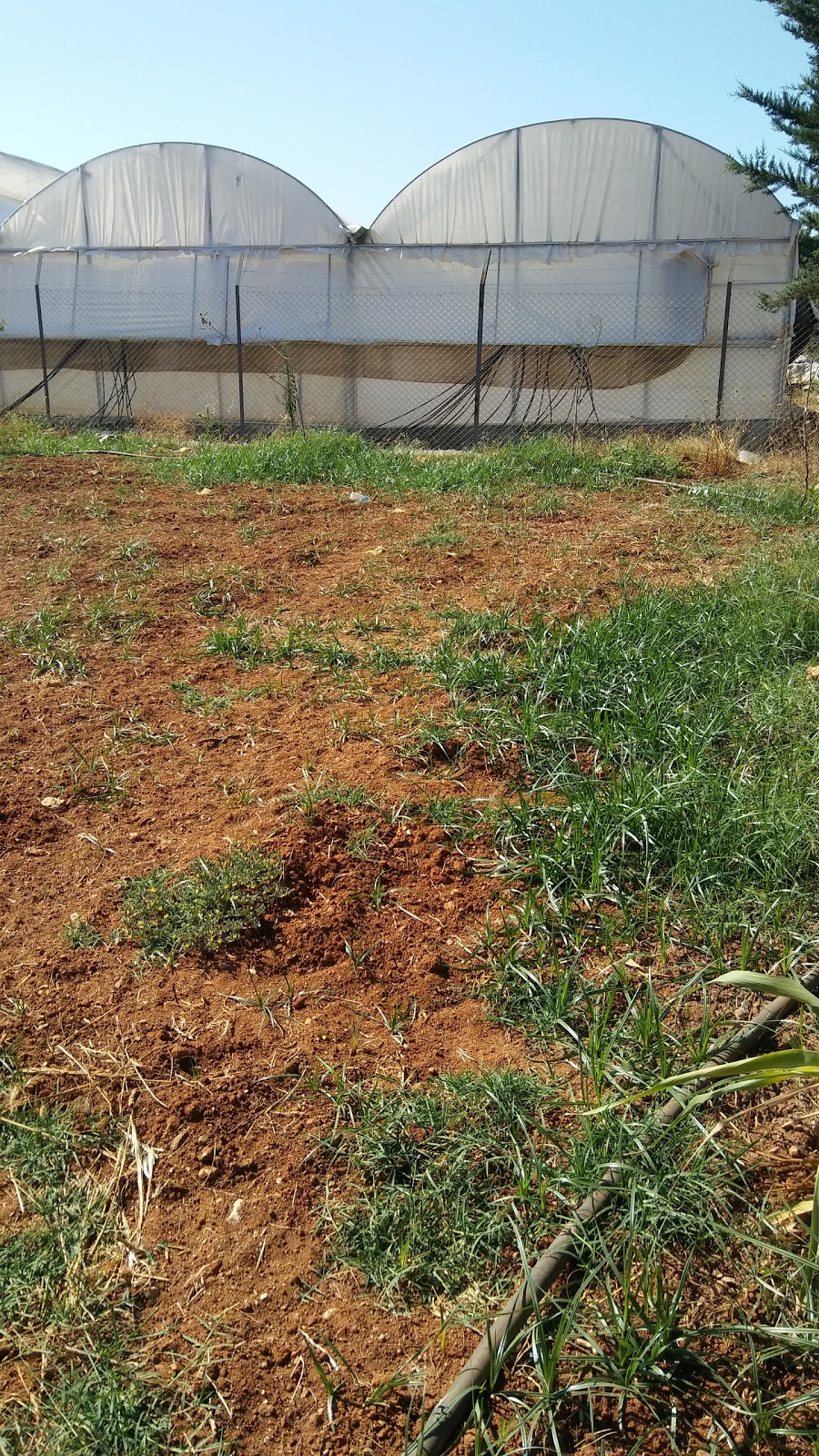 Kurşunlu İnci Kalender İlkokulu Fotoğrafları 1