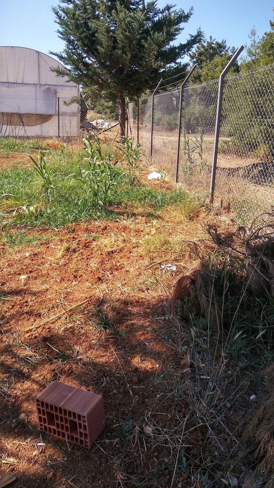 Kurşunlu İnci Kalender İlkokulu Fotoğrafları 6