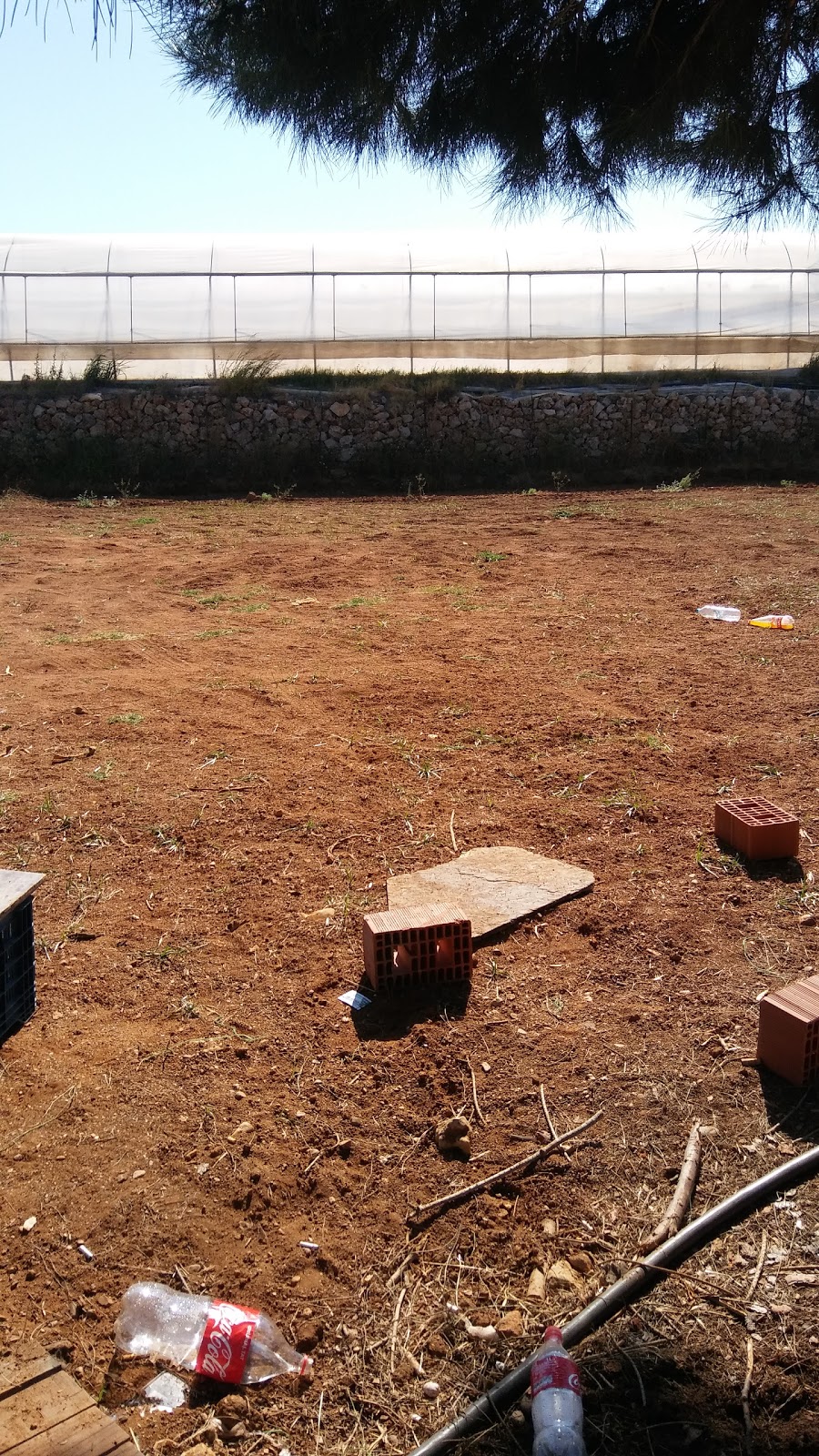 Kurşunlu İnci Kalender İlkokulu Fotoğrafları 2