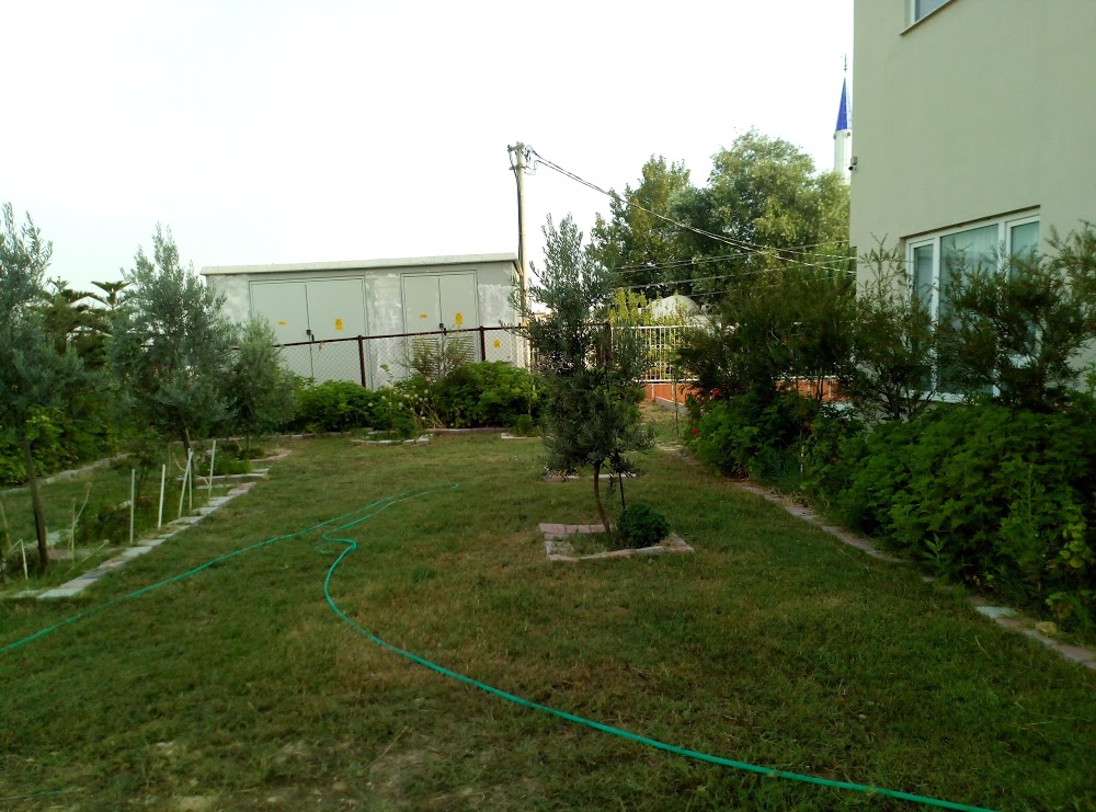 Nurcan Cömertoğlu Ortaokulu Fotoğrafları 2