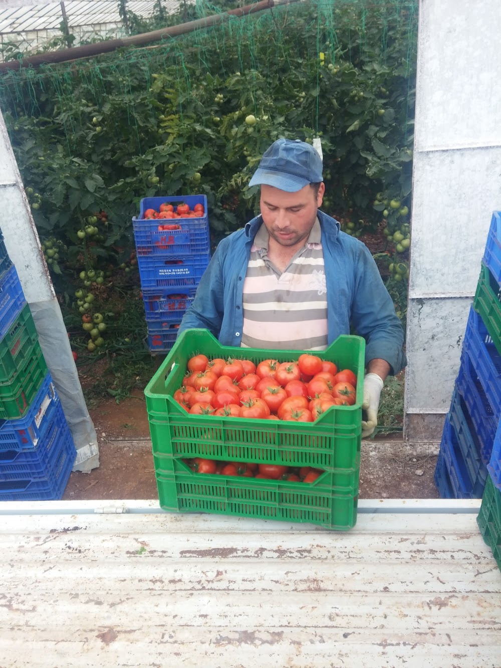 Gaziler Ortaokulu Fotoğrafları 1